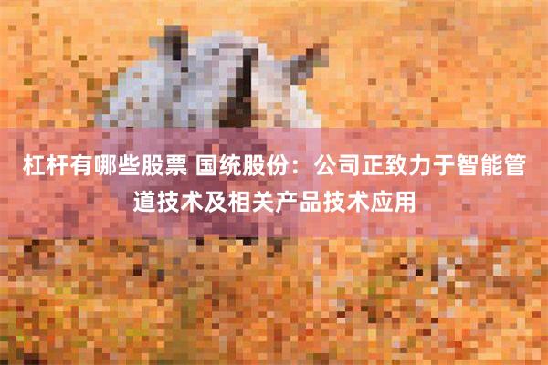 杠杆有哪些股票 国统股份：公司正致力于智能管道技术及相关产品技术应用