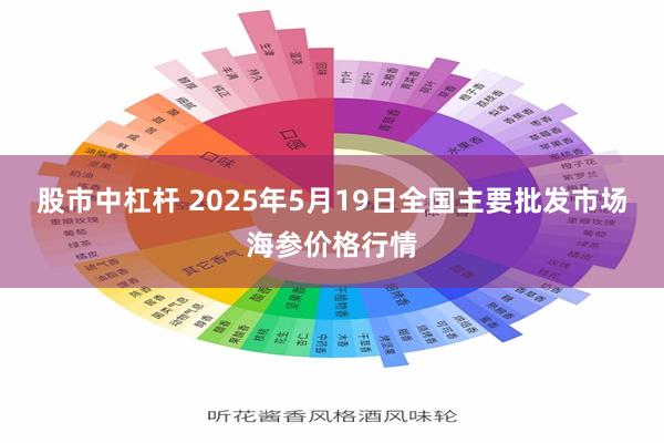 股市中杠杆 2025年5月19日全国主要批发市场海参价格行情