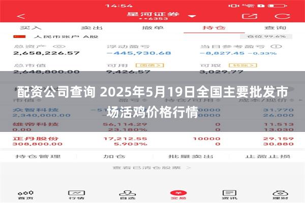 配资公司查询 2025年5月19日全国主要批发市场活鸡价格行情