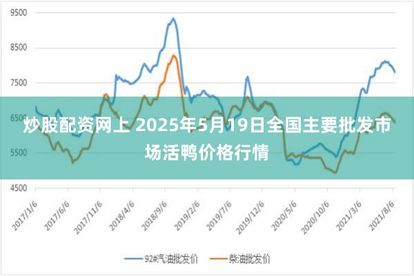 炒股配资网上 2025年5月19日全国主要批发市场活鸭价格行情