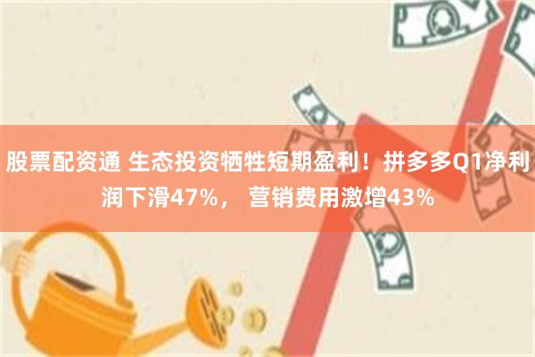 股票配资通 生态投资牺牲短期盈利！拼多多Q1净利润下滑47%， 营销费用激增43%