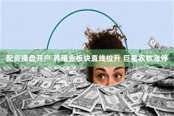 配资操盘开户 养殖业板块直线拉升 巨星农牧涨停