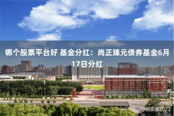 哪个股票平台好 基金分红：尚正臻元债券基金6月17日分红