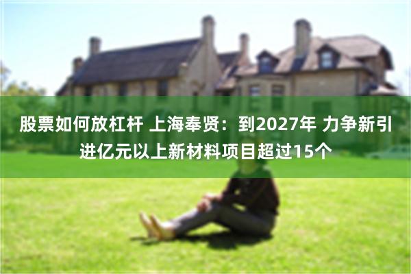 股票如何放杠杆 上海奉贤：到2027年 力争新引进亿元以上新材料项目超过15个
