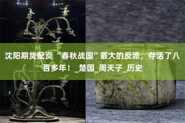 沈阳期货配资 “春秋战国”最大的反派，存活了八百多年！_楚国_周天子_历史
