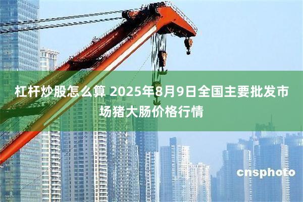 杠杆炒股怎么算 2025年8月9日全国主要批发市场猪大肠价格行情