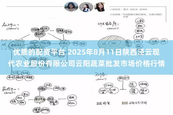 优质的配资平台 2025年8月11日陕西泾云现代农业股份有限公司云阳蔬菜批发市场价格行情