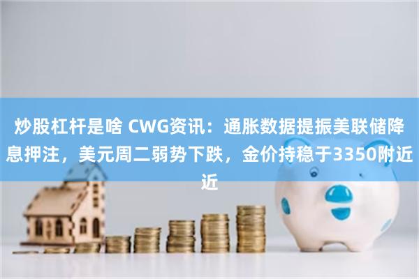 炒股杠杆是啥 CWG资讯：通胀数据提振美联储降息押注，美元周二弱势下跌，金价持稳于3350附近