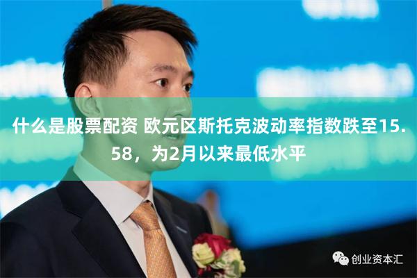 什么是股票配资 欧元区斯托克波动率指数跌至15.58，为2月以来最低水平