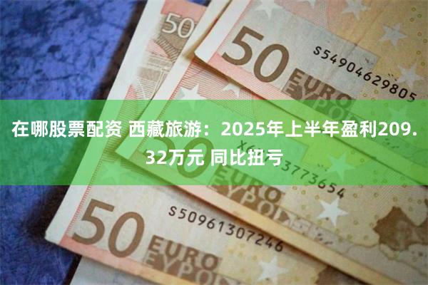 在哪股票配资 西藏旅游：2025年上半年盈利209.32万元 同比扭亏